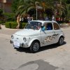 Montevago 2010 (233)